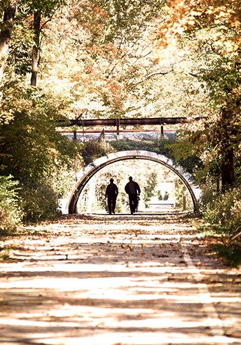 Trail Mapping Illustration